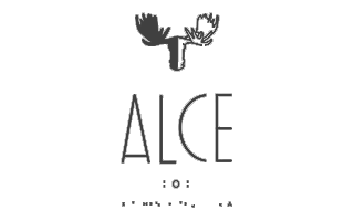 ALCE logo | Civil Security Solutions